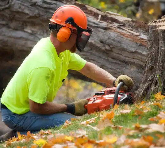 tree services Brooten